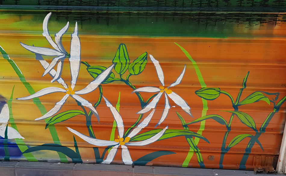 Edelweiss - Peinture aérosol sur store